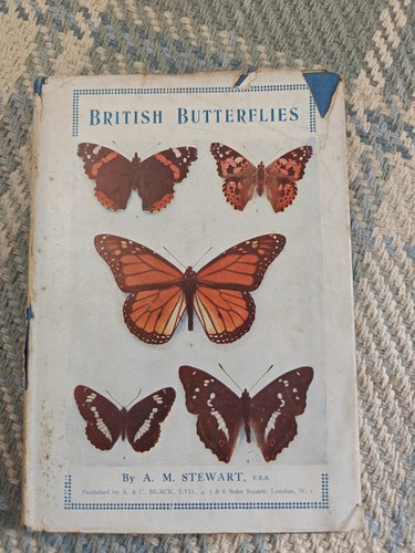 Vintage british butterflies - vintage,