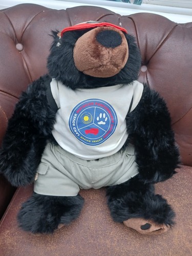 Land rover explorer bear with - land,