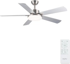 Silver Ceiling Fan with Light 5 Blade 42 inch with Remote Control Dimmable