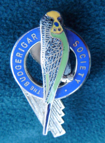 Vintage budgerigars society - vintage,