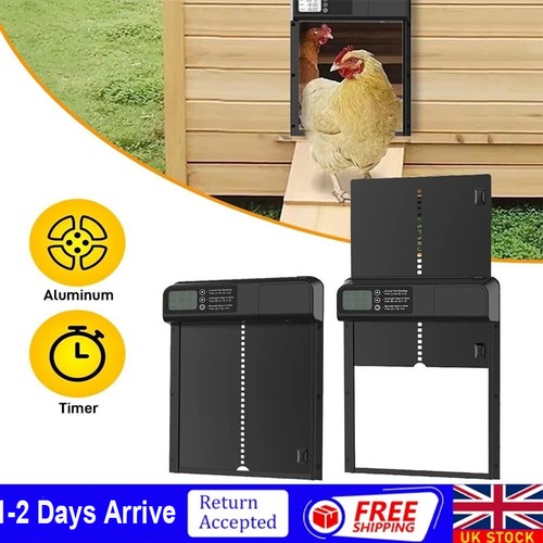 Automatic chicken coop door - chicken,