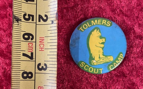 Tolmers scout camp pin - tolmers,