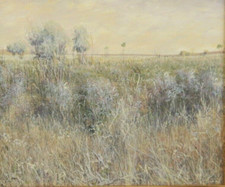 AUSTRALIAN OIL PAINTING ON