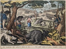 The Wild Boar Hunt - Galle /