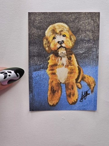 Artistic paws - artistic,