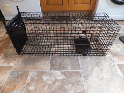 Galvanized live animal trap - live,