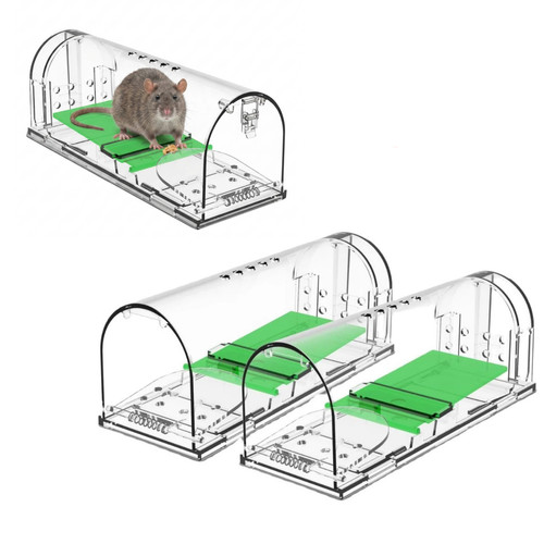 Pack humane rat - rat, mouse