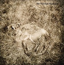 The Third Eye Foundation : Semtex CD 20th Anniversary  Album 2 discs (2016)