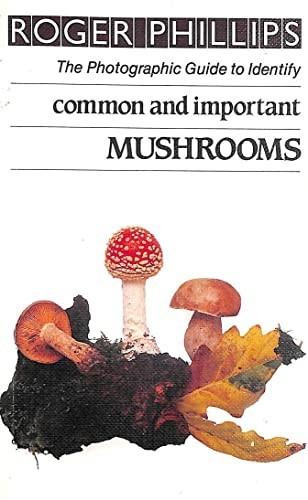 Common and important mushrooms - important,