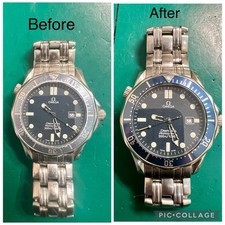 Omega Seamaster Professional