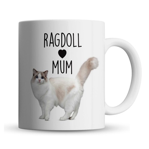 Ragdoll cat mum pet - ragdoll,