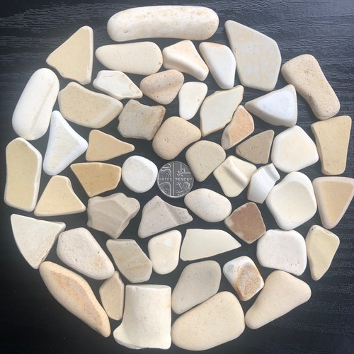 Pieces sea pottery - 50,