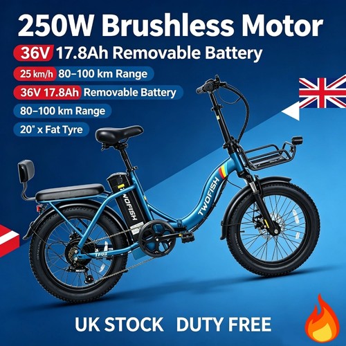 100km range 20in - 20in, e-bike