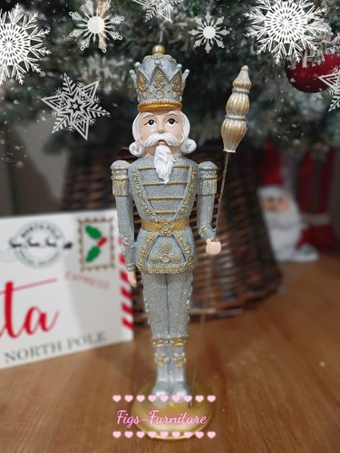 Maxx christmas champagne - maxx,