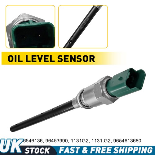 Oil level sensor - level, citroËn