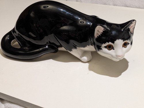 Just cats co - cats, staffordshire