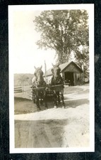 Vintage Photo HORSE DRAWN