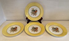 4 Vintage Parrot Design