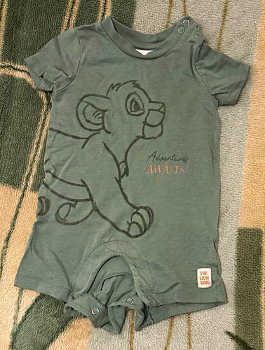 Disney lion king simba - simba, green