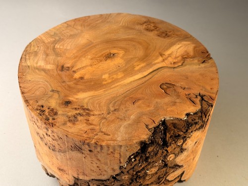 Amazing spalted burr elm - amazing,