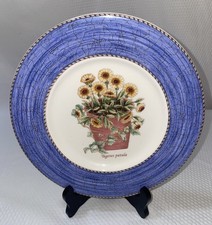 Wedgewood Sarah's Garden