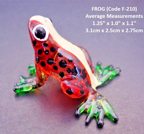Miniature glass frog toad - miniature,
