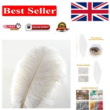 Durable 10pcs Ostrich Feathers