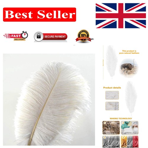 Durable 10pcs ostrich feathers - 10pcs,