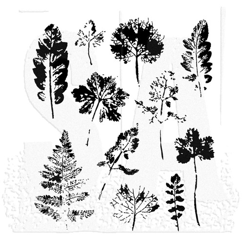 New stampers anonymous tim - new,