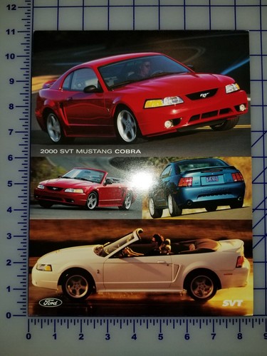 2000 ford mustang svt cobra - 2000,