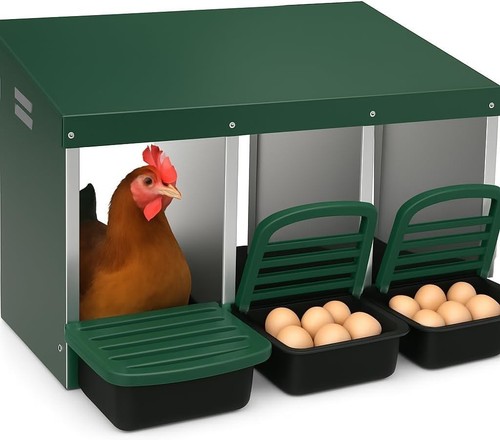 Hole chicken nesting box hen - 3,