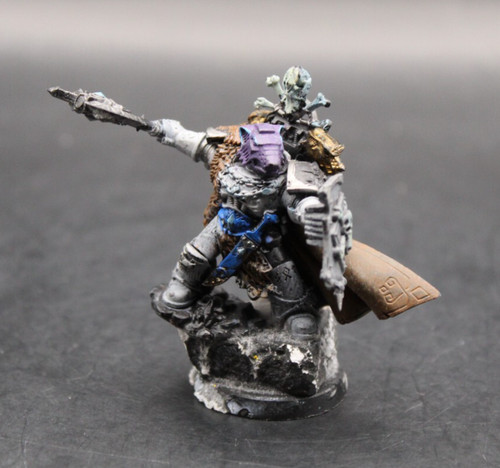 Space wolves captain with - space,
