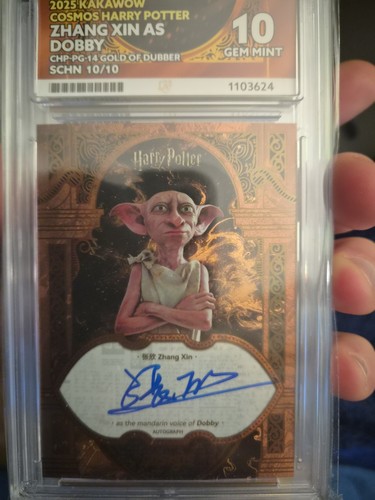 Zhang xinnas dobby 2025 harry - dobby,