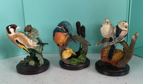 The country bird - country,