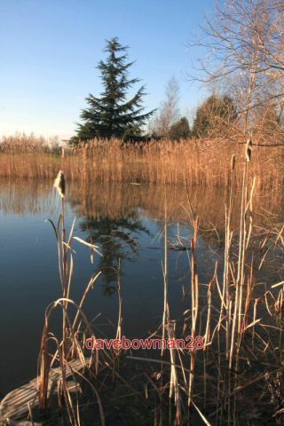 Photo pond lakeside lodge - photo,