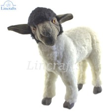 Hansa Standing Suffolk Sheep 7822 Soft Toy Sold Lamb by Lincrafts UK Est. 1993