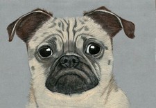 Original artwork picture chihuahua & Pug cross Chug Dog concerned little Charlie