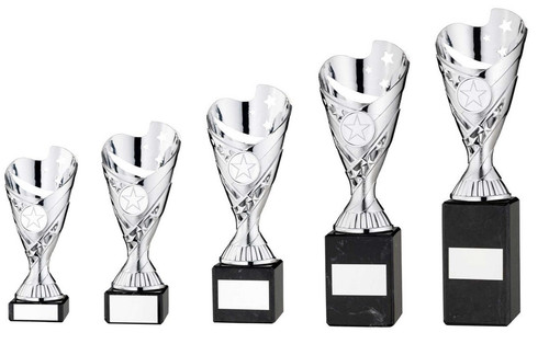 Silver multi sport - silver,