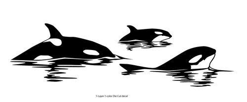 Sea fauna orca - pack, #7
