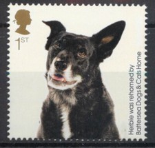 Mongrel dog GB 2010 MNH mint stamp D093