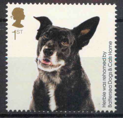Mongrel dog 2010 mnh - gb,