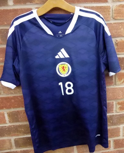 2026 world cup scotland - 2026,