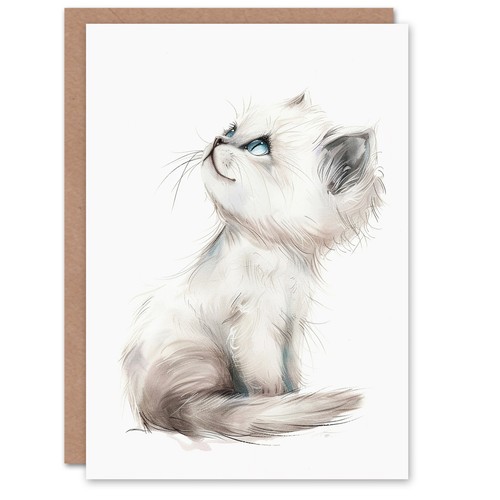 Cute fluffy ragdoll kitten - cute,
