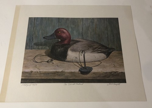 James campbell duck decoy - james,