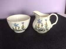 Royal Worcester   fine bone