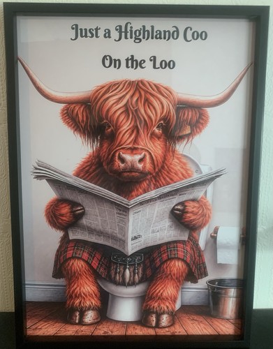 Novelty highland cow - novelty,