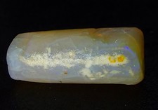 Big Opalised Fossil Belemnite 13.23ct Prehistoric Squid Octopus 🦑 🐙 hyper rare