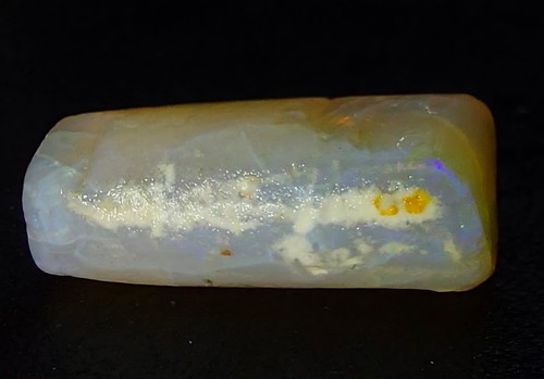 Big opalised fossil belemnite - opalised,
