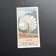 FOWLS PIGEONS & DOGS - CARD NO. 8 FANTAIL F. & J. SMITH - 1908 AL24 93