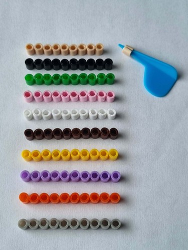 Bird rings for small - rings,